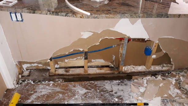 Best Water damage restoration near me  in Prescott, AR