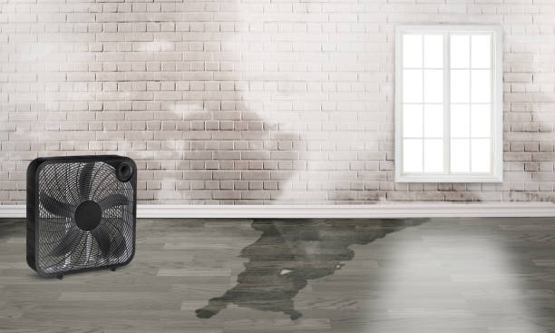 24/7 water damage repair in AR