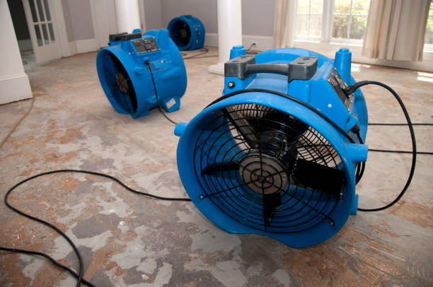 Best Residential water damage restoration  in Prescott, AR